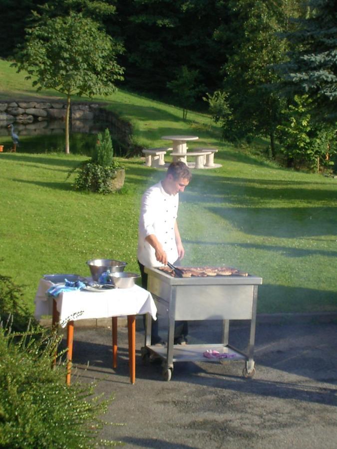 Landhotel Weingarten Haibach  Εξωτερικό φωτογραφία